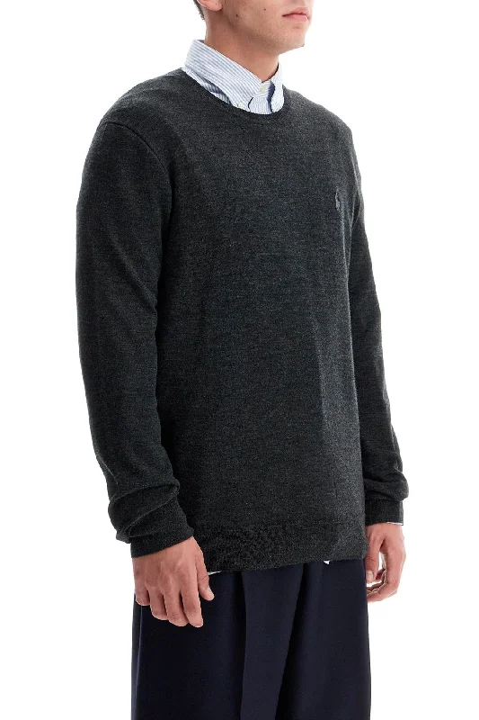 Polo Ralph Lauren Crewneck Pullover With Embroidered Puff Sleeve Stylish