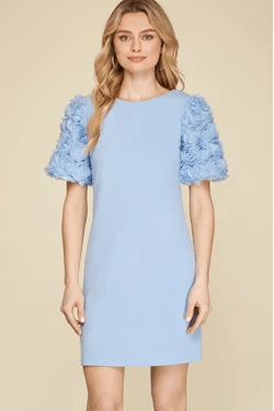 She & Sky Chiffon Rosette Sleeve Dress